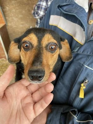 553855129 25185602901074931 3456340196446286401 n