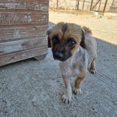 554385425 702485695714682 2092748361067166191 n