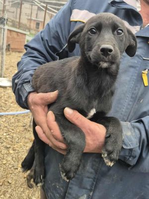 554865285 1373473194210155 7009678751401729733 n