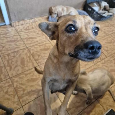 554958119 1462169554855659 4003144578356661024 n