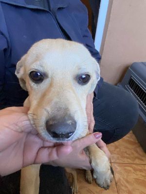 555970904 1315586132990527 7017917717843403984 n