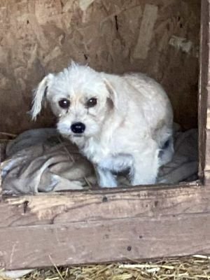 555970904 1367326458765700 7344461884433698069 n