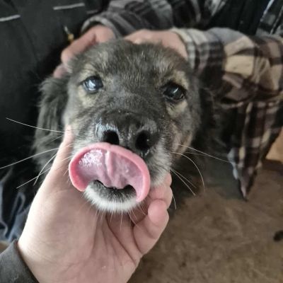 556136814 2623443458020065 8710651926427199140 n