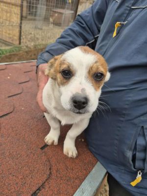 556865731 1240602437902254 3257217120751739337 n