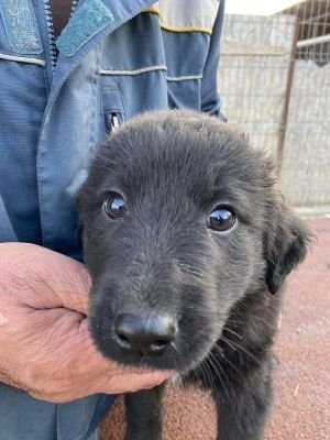 556896633 4260706337493962 5395554779069615092 n