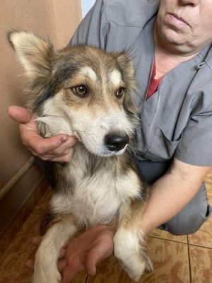 557110960 1342241304115194 1148577426319976080 n