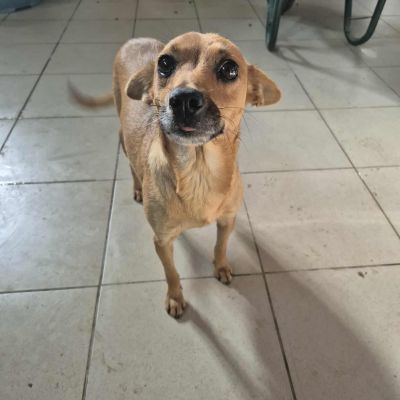 557334794 1739738173360228 3982264222567977957 n