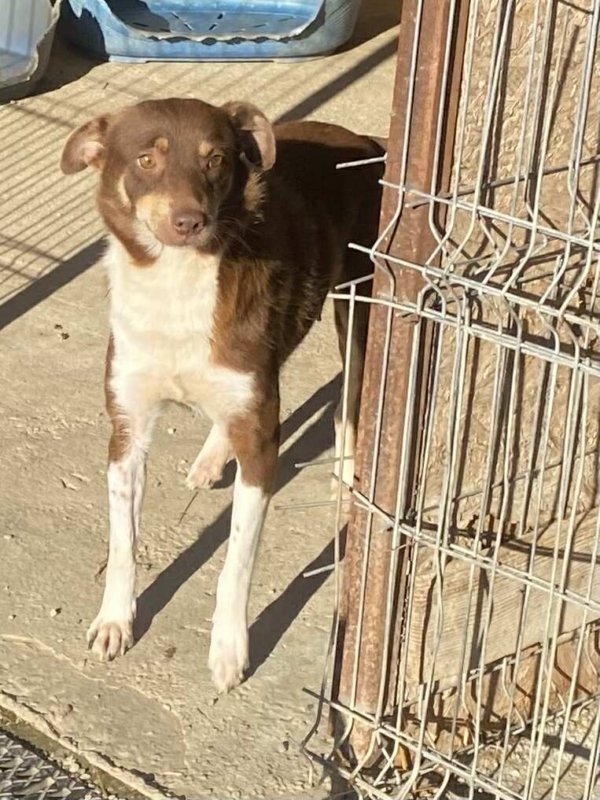 557385432 1344835170524174 5469049833452721707 n