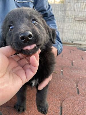 557517843 838783431880432 4620829297857288730 n