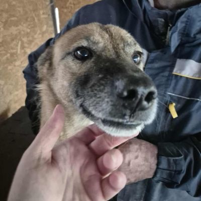 557543606 835717335625500 4824677619669753799 n