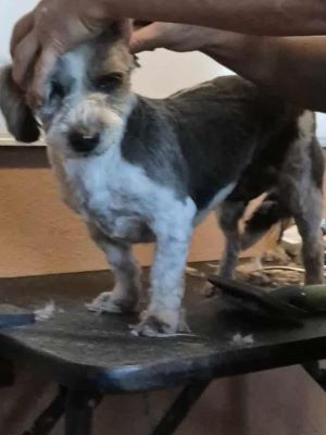 557662472 1154904882850493 8851639735419765340 n