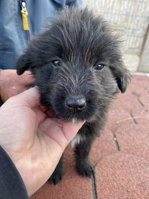 557945017 1153481283410588 1813562778966284825 n