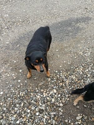 558017717 1432465367851541 4257287254818273367 n