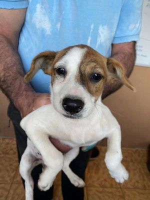 558951841 24984404754533449 2068306205473152488 n