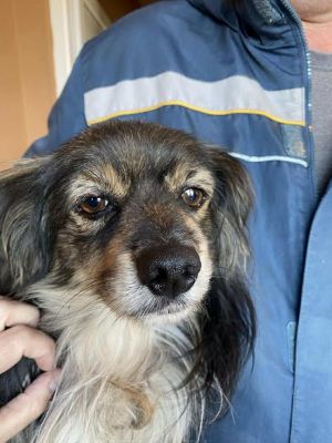 559888007 25194320943541828 5220182145522304583 n