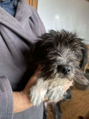 560618042 25090783227228934 5139623894869978493 n