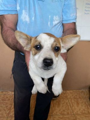 561836055 24984593614514563 5991047604071324581 n