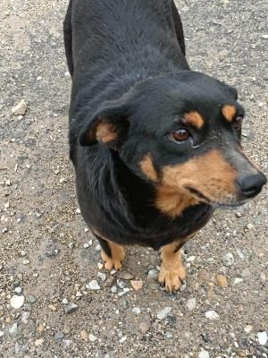 564550861 1497988808012629 8828054929221378115 n