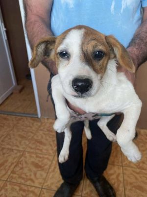 564555174 24984404757866782 6649095932540556890 n