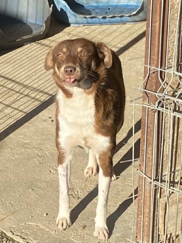 564699405 1341601364415441 7297124167474853471 n