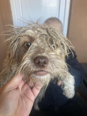 564737098 1145050290492186 4834371723422750245 n