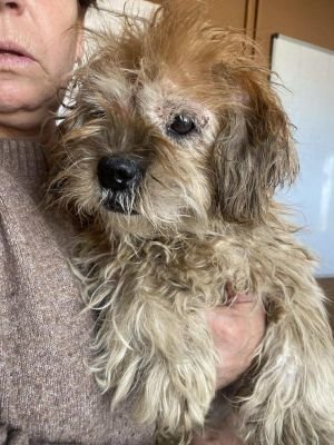 564888041 1315993313338479 4962712170215648555 n