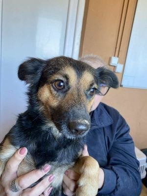 565011382 32013407521641067 6537592142324275481 n