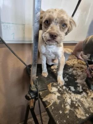 565027192 863322042688094 993106819608673184 n