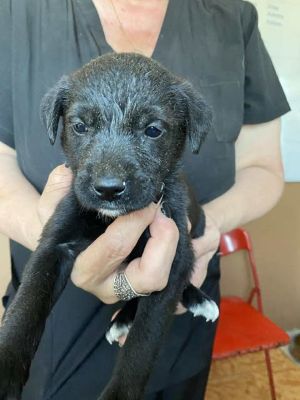 565108500 24973571295616795 5670048279777453082 n