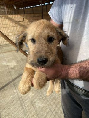 565217375 24983474567959801 561801528018990141 n