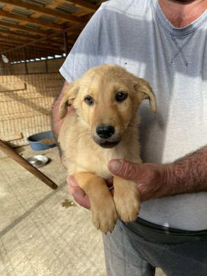 565257230 24983530537954204 265044535920390050 n