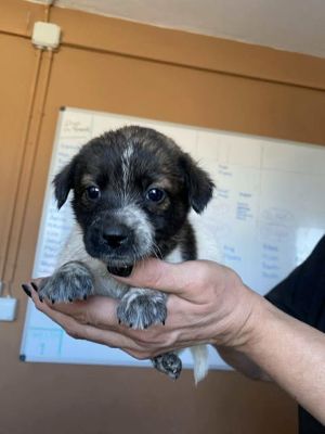 565267866 24973438782296713 6617365023229853680 n