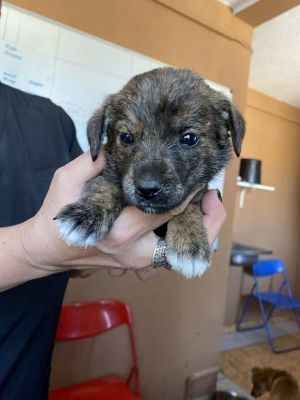 565350848 24973523915621533 78282135706511877 n