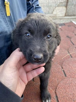 565740413 832128049269667 2954519985563256845 n