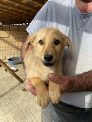 565831067 24983530704620854 8772969631757059310 n