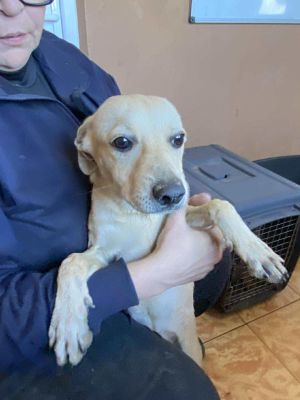 565953692 833072299211961 1527129050422902860 n