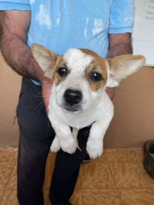 566173584 24984593617847896 5414686822190829141 n