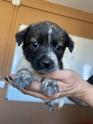 566209499 24973440292296562 7490921861586209962 n