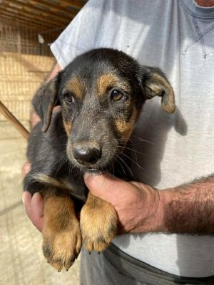 566231447 24983416951298896 1367288000294199336 n