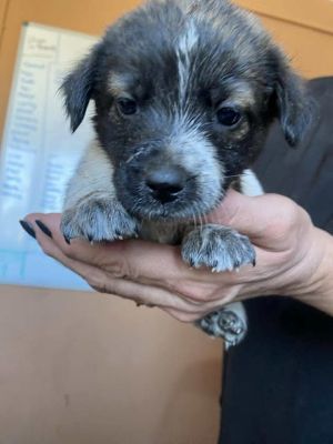 566241813 24973439432296648 7803167043679719812 n