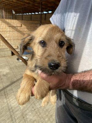 566258089 24983474687959789 3393349659450332744 n