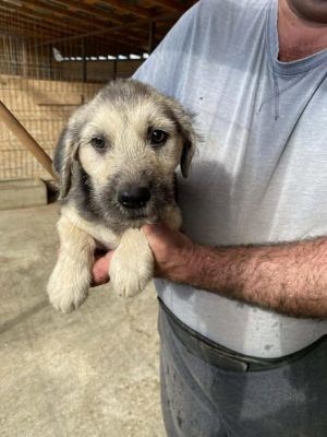 566321346 24983501721290419 1374720341399590563 n