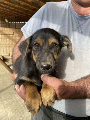 566345839 24983416224632302 8075534983425864862 n