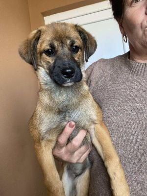 566352629 1372474567728598 5364515608803240537 n