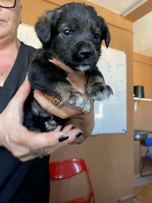 566356338 24973605518946706 2211916931095762848 n