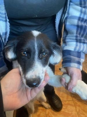 566377747 799497712852689 6248427007822761813 n