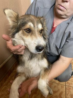 566382684 1175541264486334 6963251050333064391 n