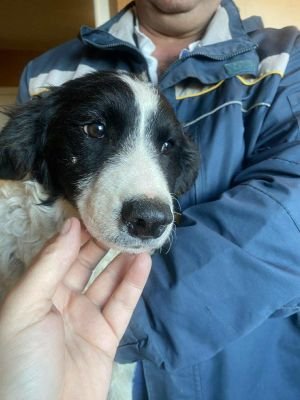 566387793 2669534306730125 6081431636631189790 n