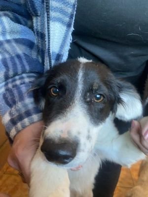 566471219 1531807584510959 5726452246335231466 n