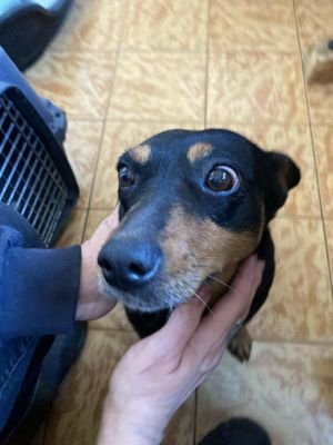 566474241 1138529831234366 6517965643936993495 n